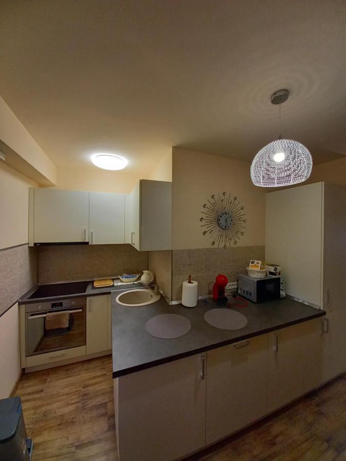 Tei Apartment Oradea Bagian luar foto