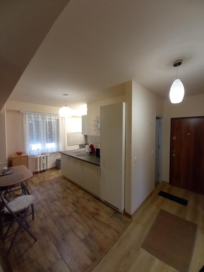 Tei Apartment Oradea Bagian luar foto